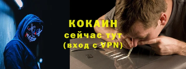 шишки Арсеньев