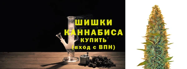 шишки Арсеньев