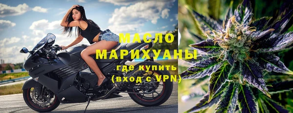 шишки Арсеньев
