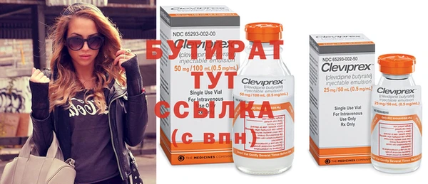 шишки Арсеньев