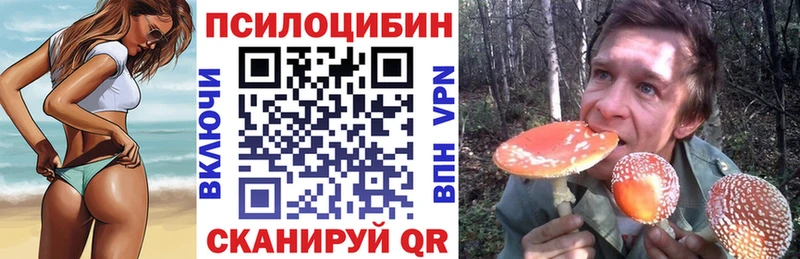 где купить наркоту  Покачи  Псилоцибиновые грибы мухоморы 